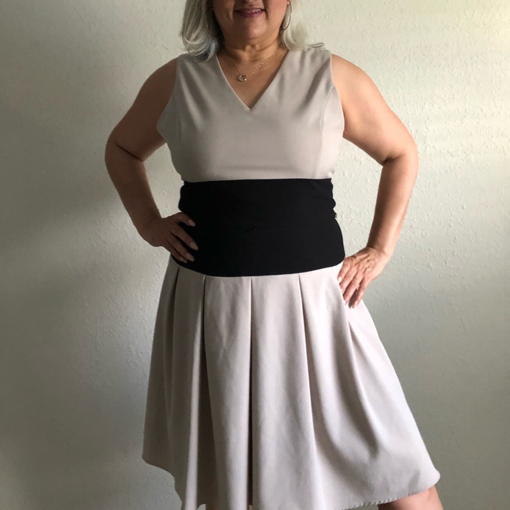Ellen Tracey Black and Tan dress
